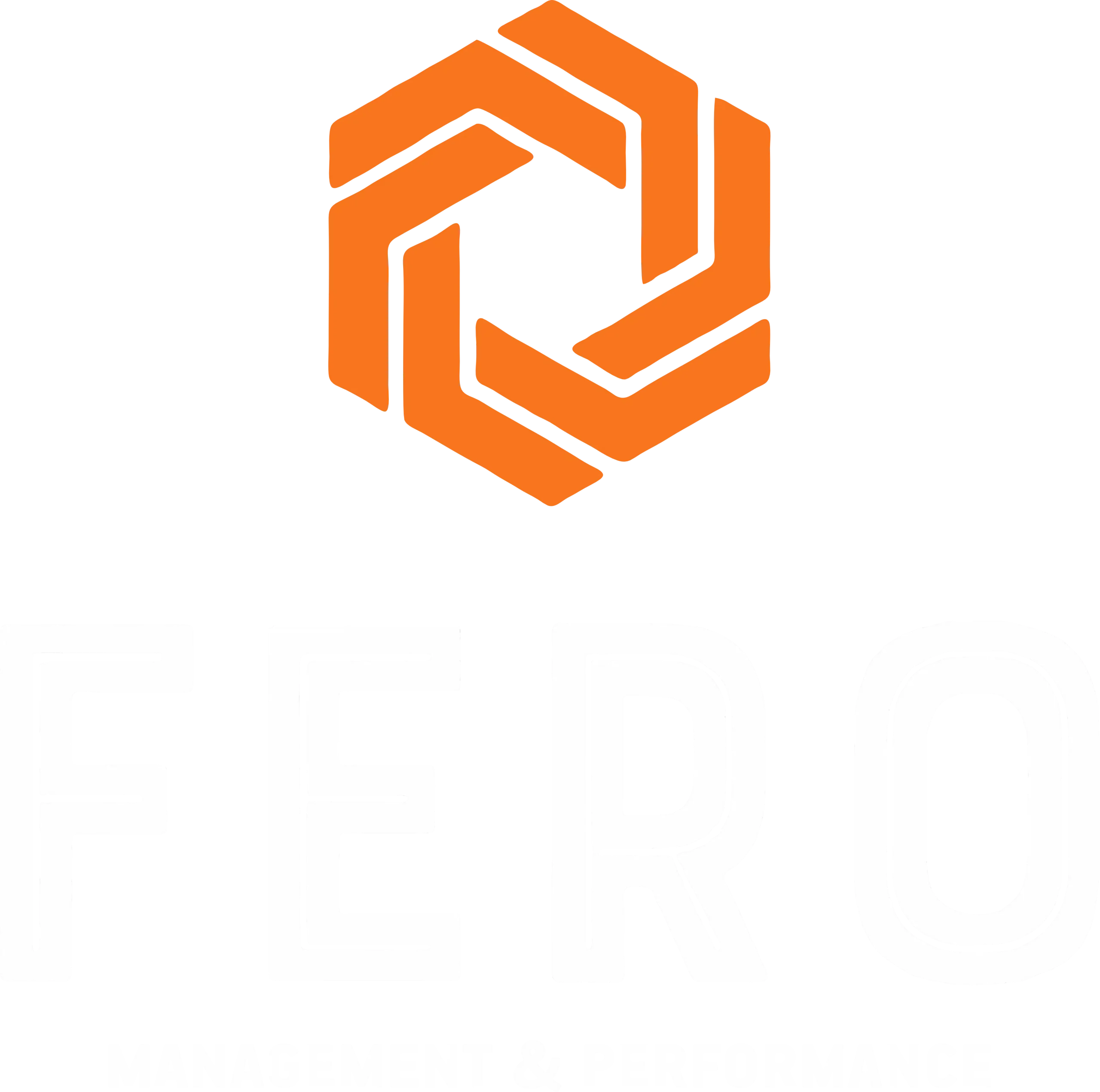 FERO Consultoria